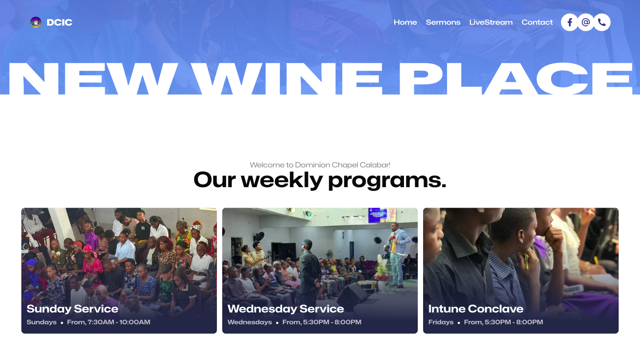 New Wine Place - Web Design & Web Development project screenshot